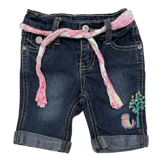 Pumpkin Patch Shorts (Size 6-12M)