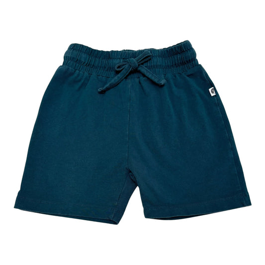 Burrow & Be Shorts (Size 3Y)