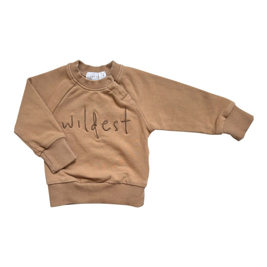 Jamie Kay Jumper (Size 0-3M)