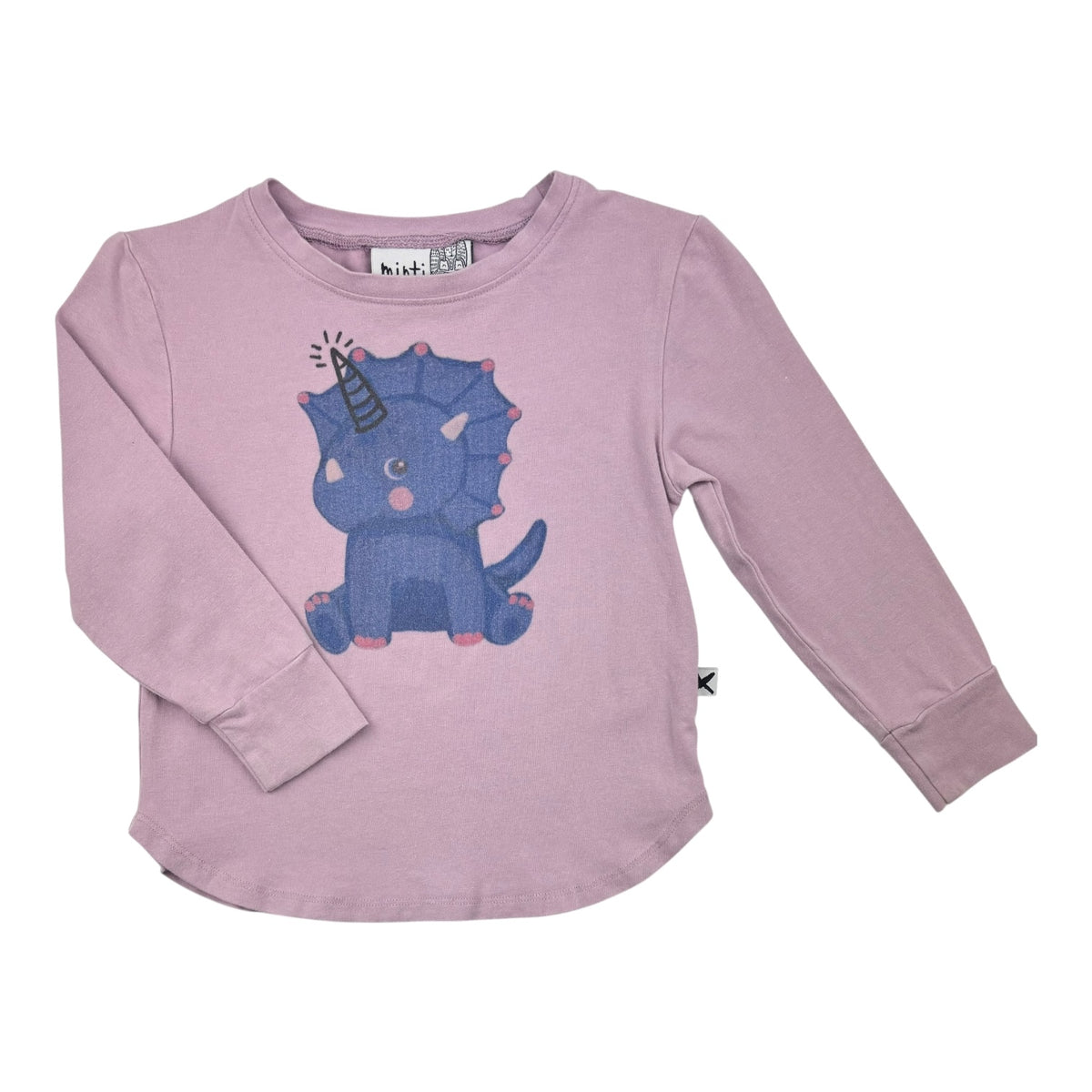 Minti Top (Size 2Y)