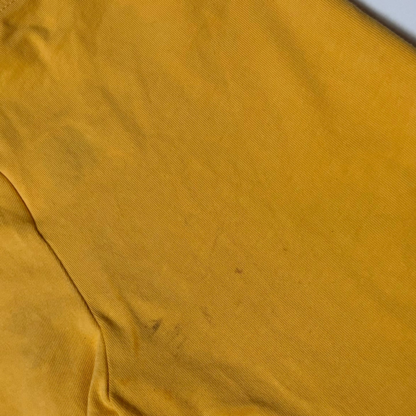 Seed Heritage Shorts (6Y)