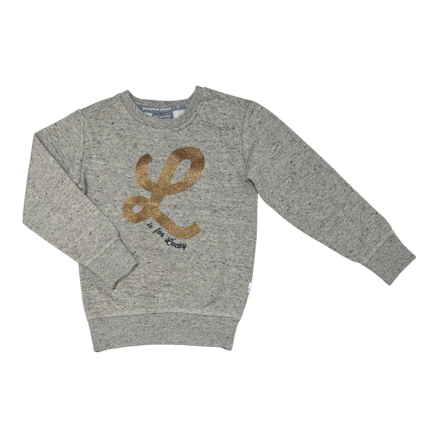 Pumpkin Patch Fleece Jumper (Size 4Y)