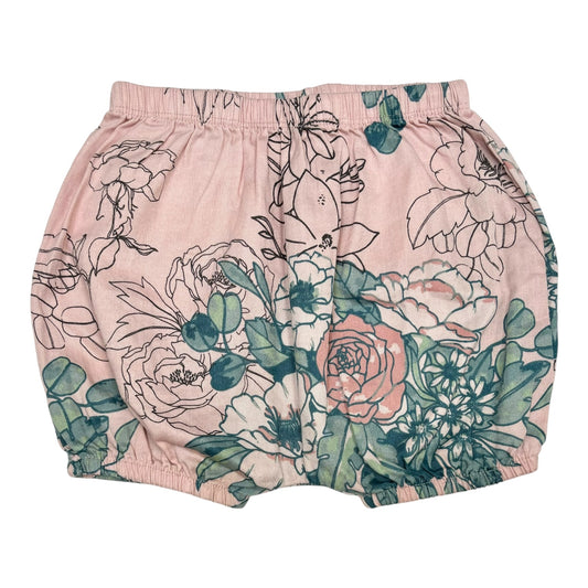 Burrow & Be Shorts (2Y)